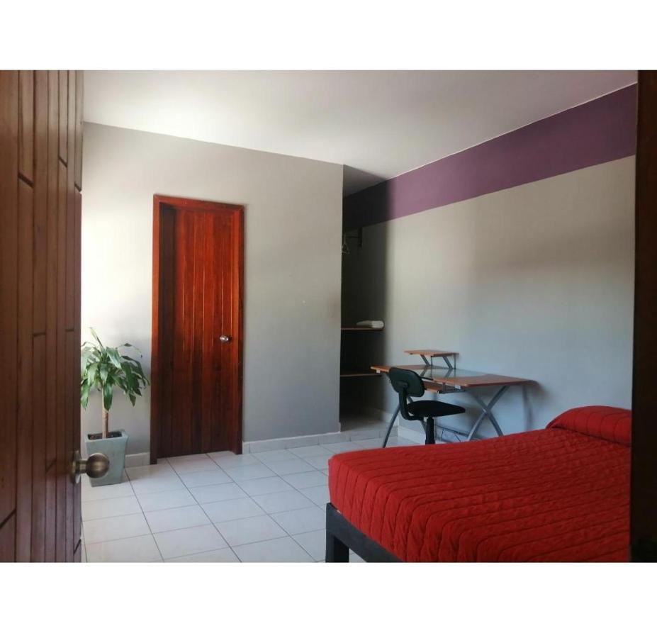 테픽 Casa Violeta 호스텔 외부 사진