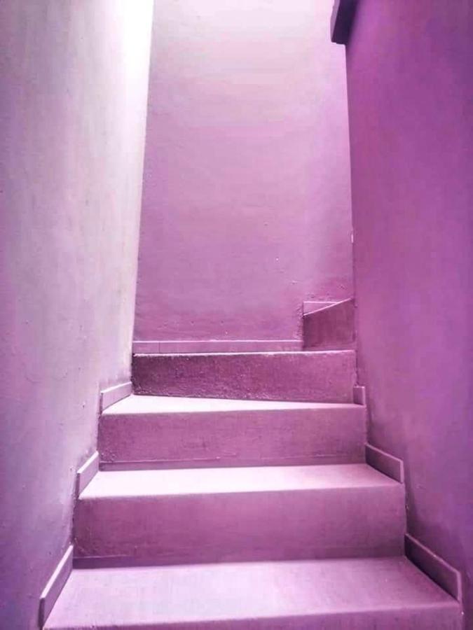 테픽 Casa Violeta 호스텔 외부 사진